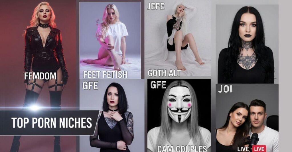 Best Porn Niches